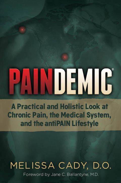 Cover image for book Paindemic