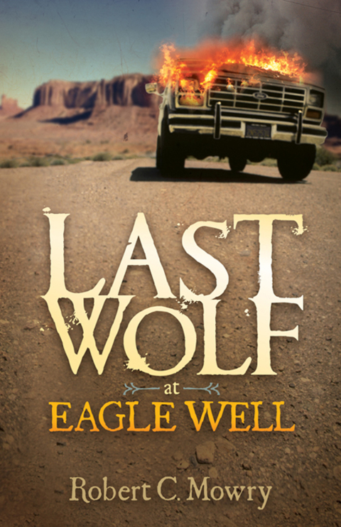 Cover image for book Last Wolf at Eagle Well
