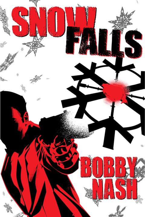 Cover image for book Snow Falls