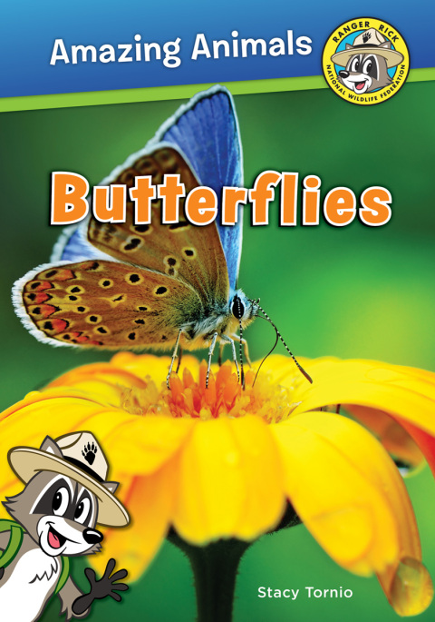 Butterflies 