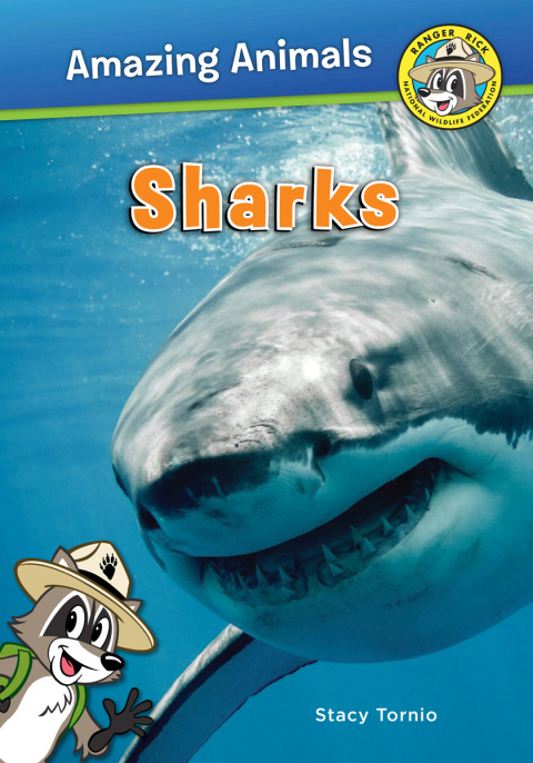 Sharks 