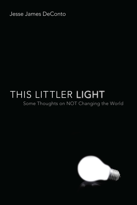 Cover image for book This Littler Light