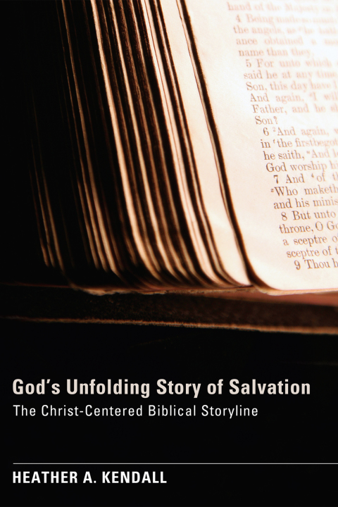 Cover image for book God’s Unfolding Story of Salvation
