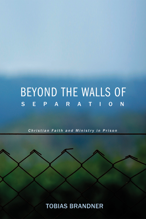Cover image for book Beyond the Walls of Separation