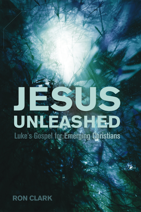 Cover image for book Jesus Unleashed
