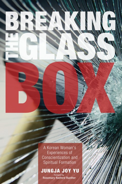 Cover image for book Breaking the Glass Box