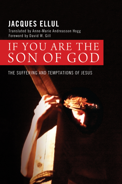 Cover image for book If You Are the Son of God