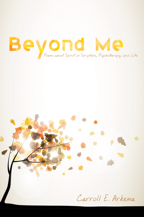 Cover image for book Beyond Me