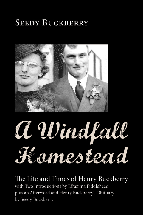 Cover image for book A Windfall Homestead