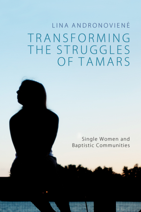 Cover image for book Transforming the Struggles of Tamars