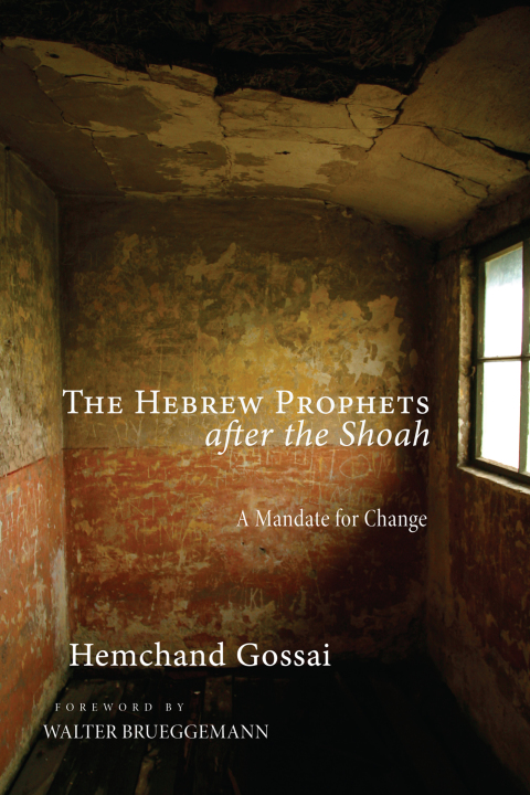 Cover image for book The Hebrew Prophets after the Shoah