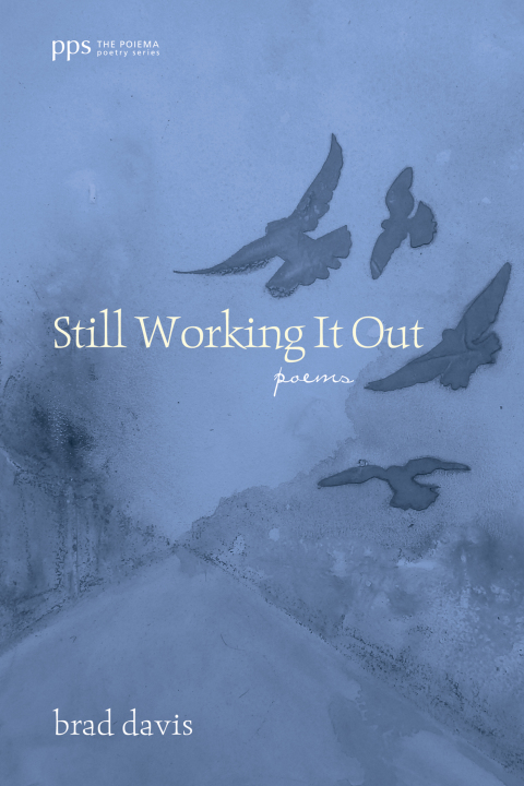 Cover image for book Still Working It Out