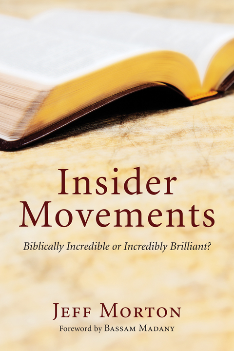 Cover image for book Insider Movements