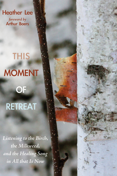 Cover image for book This Moment of Retreat