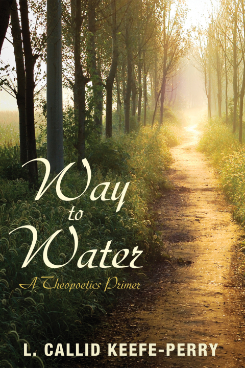 Cover image for book Way to Water
