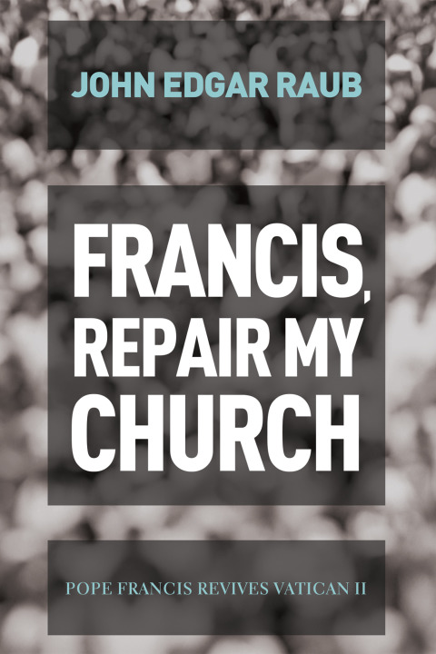 Cover image for book Francis, Repair My Church