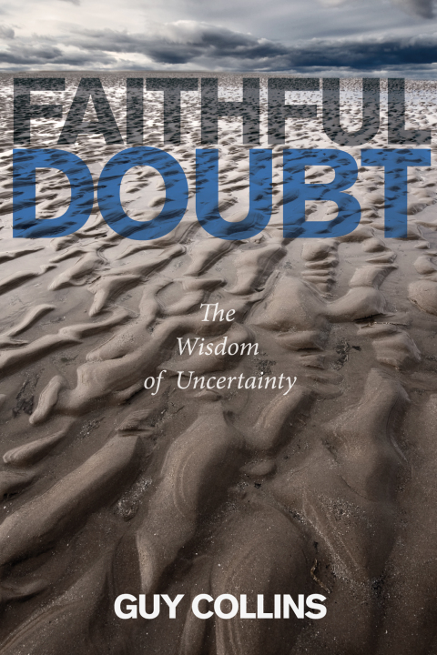 Cover image for book Faithful Doubt