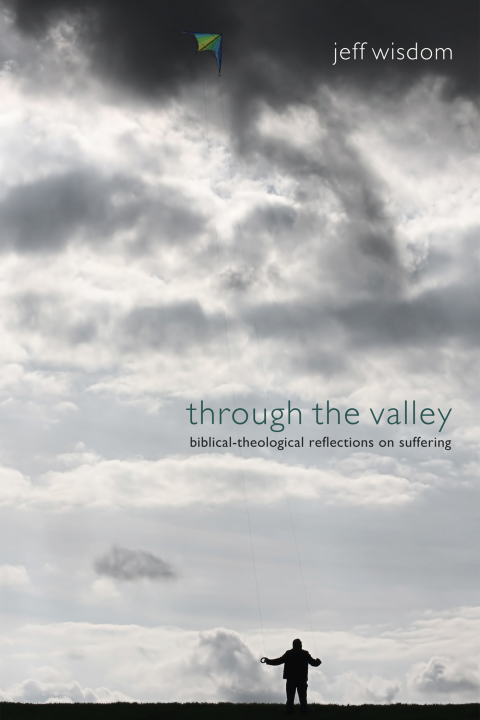 Cover image for book Through the Valley