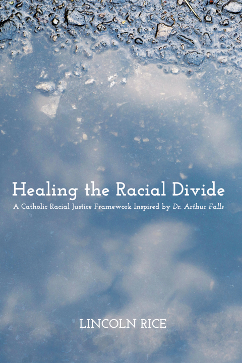 Cover image for book Healing the Racial Divide