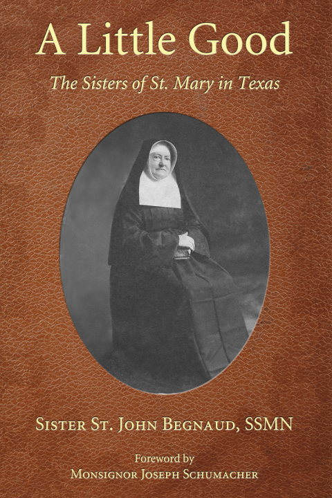 Cover image for book A Little Good