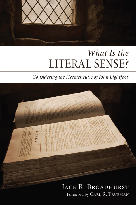 Cover image for book What Is the Literal Sense?