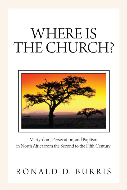 Cover image for book Where Is the Church?