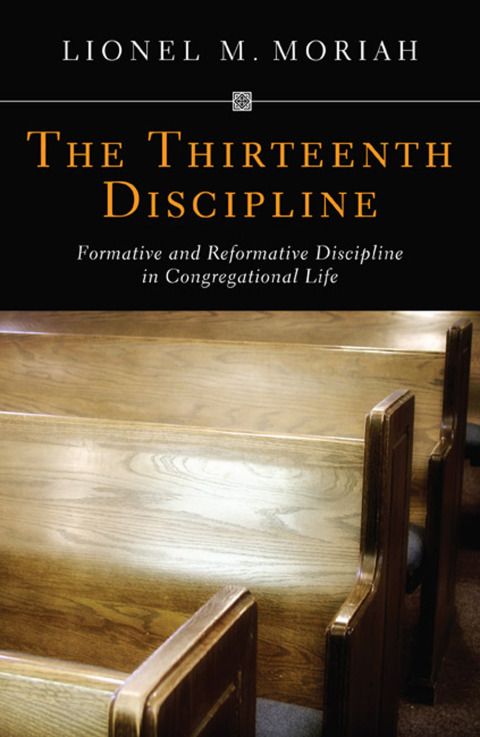 Cover image for book The Thirteenth Discipline