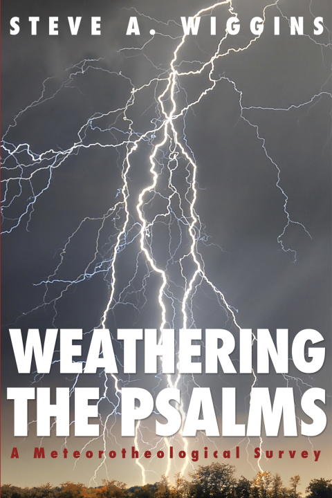 Cover image for book Weathering the Psalms