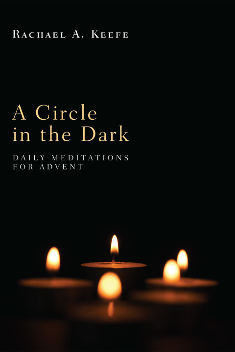 Cover image for book A Circle in the Dark