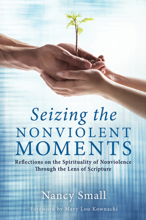 Cover image for book Seizing the Nonviolent Moments
