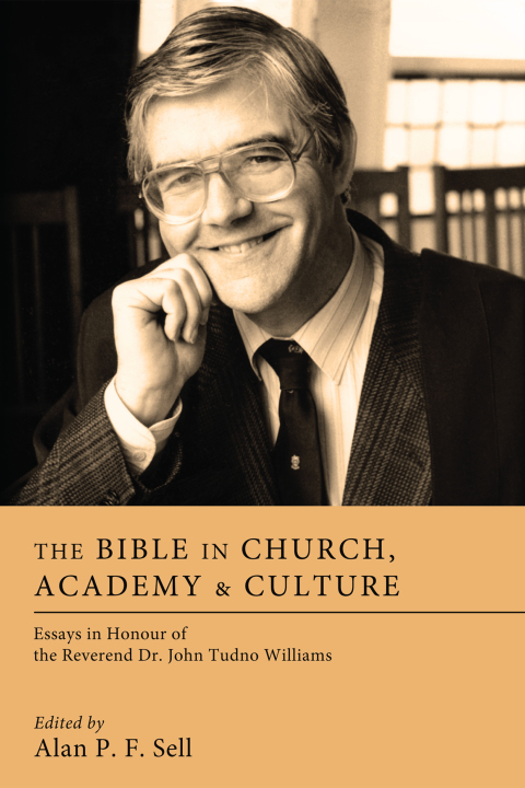 Cover image for book The Bible in Church, Academy, and Culture