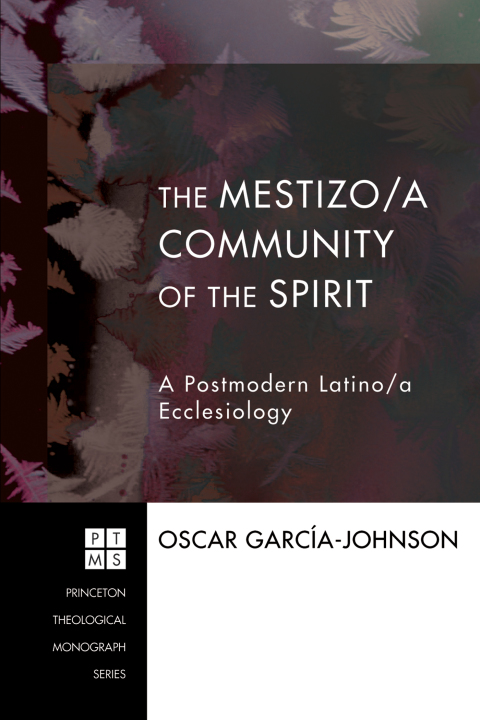 Cover image for book The Mestizo/a Community of the Spirit