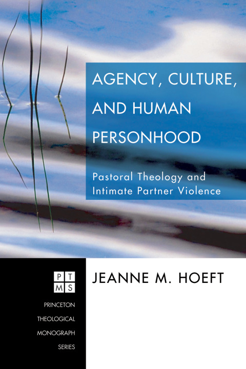 Cover image for book Agency, Culture, and Human Personhood