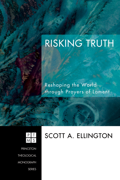 Cover image for book Risking Truth
