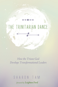 Cover image: The Trinitarian Dance 9781625645579