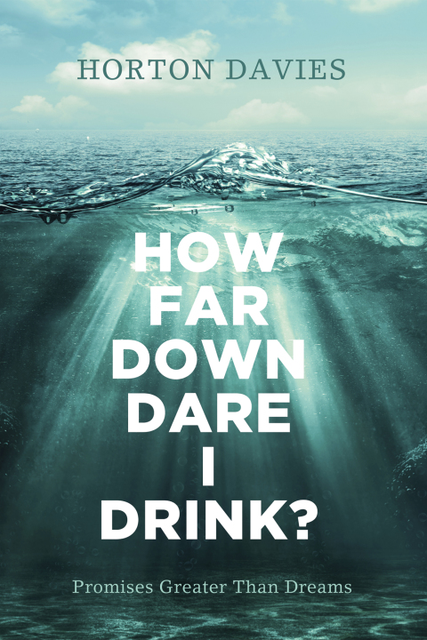 Cover image for book How Far Down Dare I Drink?