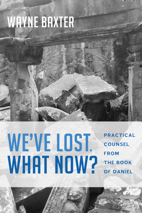 Cover image for book We’ve Lost. What Now?