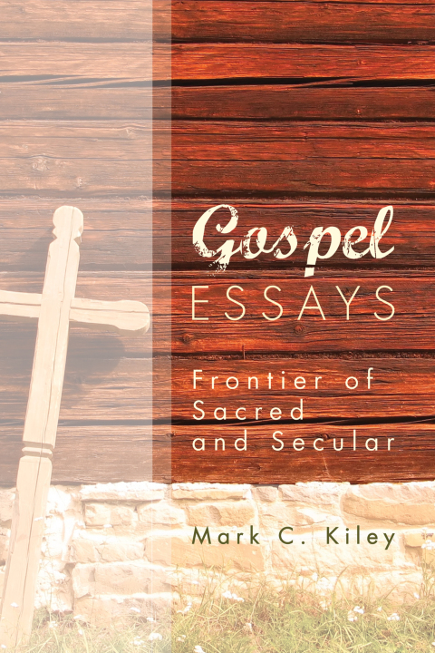 Cover image for book Gospel Essays