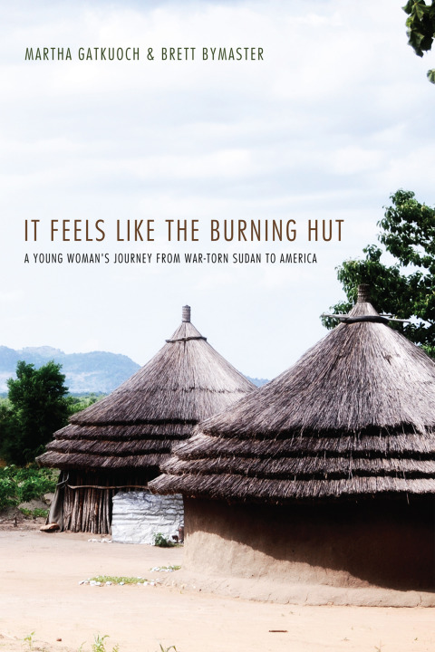 Cover image for book It Feels Like the Burning Hut