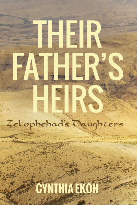 Cover image for book Their Father’s Heirs