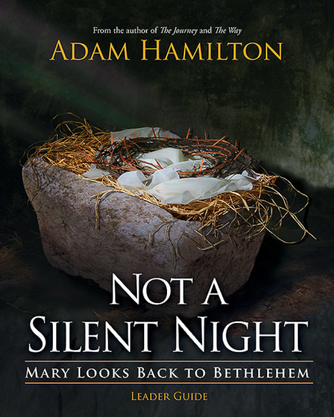 Cover image for book Not a Silent Night Leader Guide
