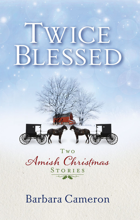 Cover image for book Twice Blessed