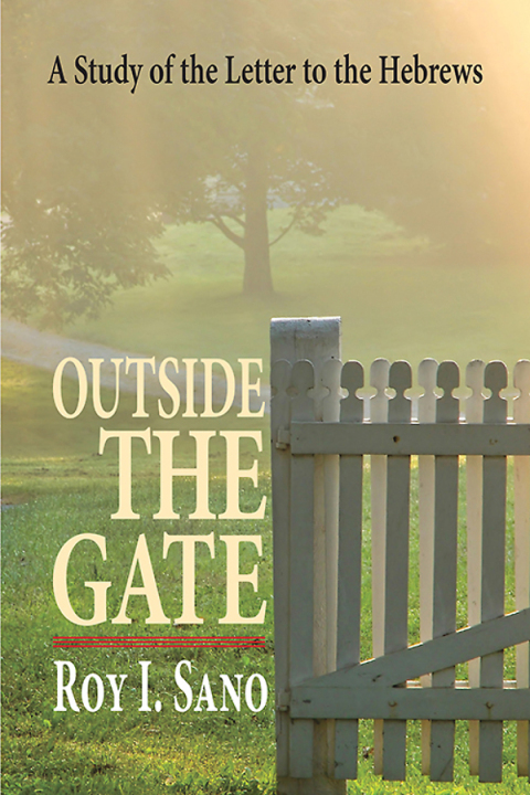 Cover image for book Outside the Gate