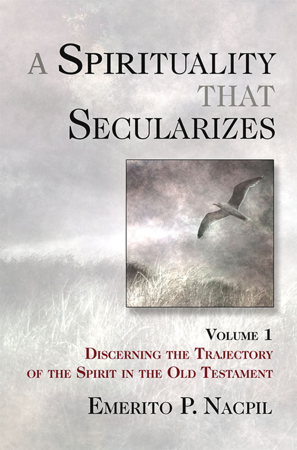 Reflowable A Spirituality That Secularizes; $31.07