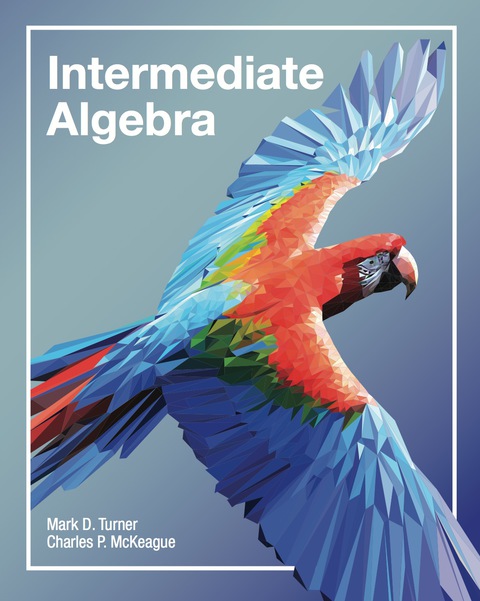 Cover image for book Intermediate Algebra