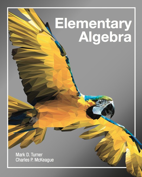 Cover image for book Elementary Algebra