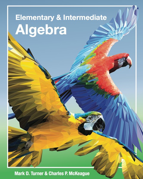 Cover image for book Elementary & Intermediate Algebra
