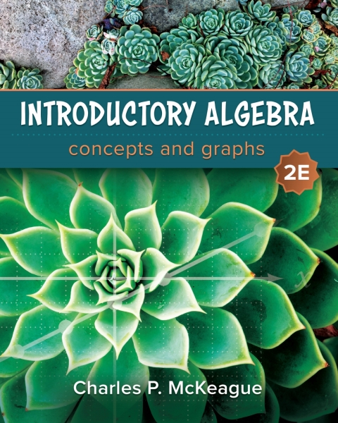 Cover image for book Introductory Algebra: Concepts and Graphs