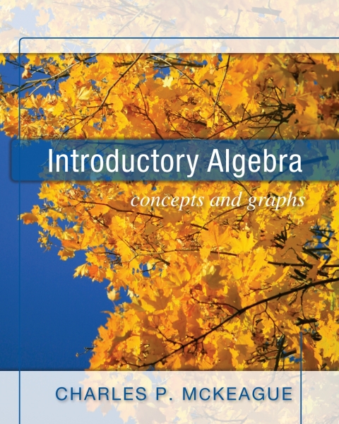 Cover image for book Introductory Algebra: Concepts and Graphs