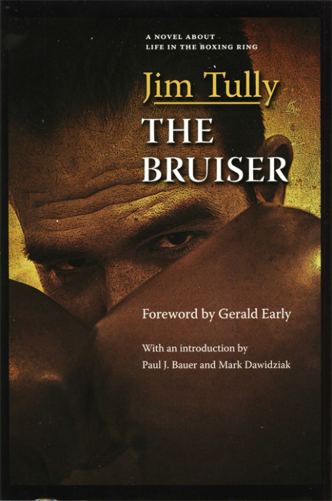 Cover image for book The Bruiser